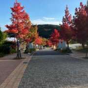 ヒメ日記 2025/12/22 13:48 投稿 やくも 丸妻 新横浜店