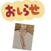 ヒメ日記 2025/07/05 08:39 投稿 浅野　りえ 昼下がりの情事