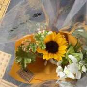 ヒメ日記 2025/08/10 18:13 投稿 浅野　りえ 昼下がりの情事