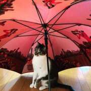 ヒメ日記 2025/08/11 06:36 投稿 浅野　りえ 昼下がりの情事