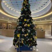 ヒメ日記 2025/12/13 10:44 投稿 浅野　りえ 昼下がりの情事