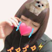 ヒメ日記 2025/09/20 18:05 投稿 なぐも 奥様特急上越店