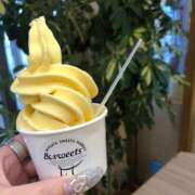 ヒメ日記 2025/09/23 17:15 投稿 なぐも 奥様特急上越店