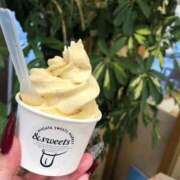 ヒメ日記 2025/09/30 17:25 投稿 なぐも 奥様特急上越店