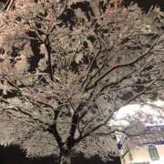 ヒメ日記 2026/01/02 23:55 投稿 なぐも 奥様特急上越店