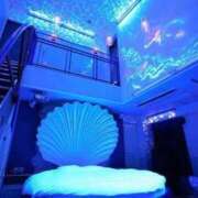 ヒメ日記 2026/03/31 19:45 投稿 なぐも 奥様特急上越店