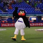 ヒメ日記 2026/04/01 19:25 投稿 なぐも 奥様特急上越店