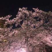 ヒメ日記 2026/04/04 19:05 投稿 なぐも 奥様特急上越店