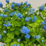 ヒメ日記 2025/06/12 17:56 投稿 りな 新潟デリヘル倶楽部