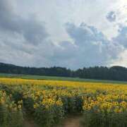 ヒメ日記 2025/08/21 22:46 投稿 りな 新潟デリヘル倶楽部