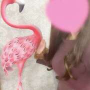 ヒメ日記 2025/05/26 14:57 投稿 いのり プロフィール奈良店