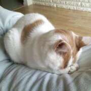 ヒメ日記 2025/07/24 19:37 投稿 いのり プロフィール奈良店