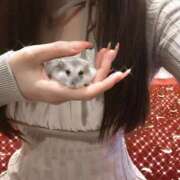 ヒメ日記 2026/01/24 10:12 投稿 いのり プロフィール奈良店