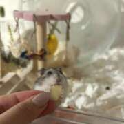 ヒメ日記 2026/02/26 15:51 投稿 いのり プロフィール奈良店