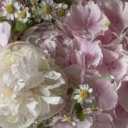 ヒメ日記 2026/04/06 19:16 投稿 いのり プロフィール奈良店