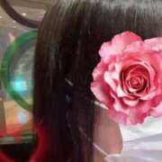 ヒメ日記 2025/07/18 22:22 投稿 りう 熟女の風俗最終章 新宿店