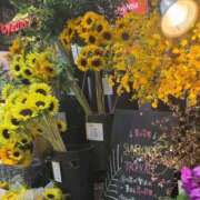 ヒメ日記 2025/07/24 14:16 投稿 りう 熟女の風俗最終章 新宿店