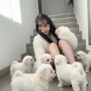 ヒメ日記 2026/02/21 17:26 投稿 めいの スピードエコ梅田店