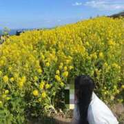 めいの 遅くなってすみません💦 スピードエコ梅田店