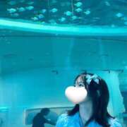 ヒメ日記 2025/07/23 07:46 投稿 こはる 君とふわふわプリンセスin熊谷