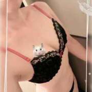 ヒメ日記 2025/10/01 17:48 投稿 あいな ニューヨークニューヨーク