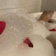 ヒメ日記 2025/10/15 11:11 投稿 ぴゅあ The White