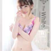 ヒメ日記 2025/11/09 11:09 投稿 ぴゅあ The White