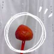 ヒメ日記 2025/12/18 23:09 投稿 ぴゅあ The White