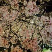 ヒメ日記 2026/04/10 00:00 投稿 エミ（仙南限定キャスト） 人妻生レンタル