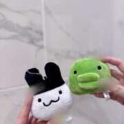 ヒメ日記 2025/07/25 15:51 投稿 りま Beppin house