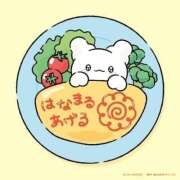 ヒメ日記 2025/07/30 16:00 投稿 りま Beppin house