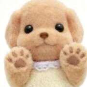 ヒメ日記 2025/10/21 23:20 投稿 りま Beppin house