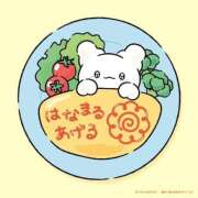 ヒメ日記 2025/11/04 16:26 投稿 りま Beppin house