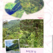 ヒメ日記 2025/06/04 21:46 投稿 佐藤 ミセスの手ほどき