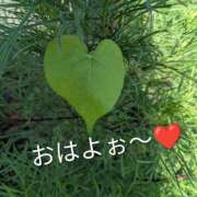 ヒメ日記 2025/09/02 07:36 投稿 ゆう 北九州人妻倶楽部（三十路、四十路、五十路）