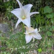 ヒメ日記 2025/09/04 07:09 投稿 ゆう 北九州人妻倶楽部（三十路、四十路、五十路）