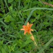 ヒメ日記 2025/09/08 10:03 投稿 ゆう 北九州人妻倶楽部（三十路、四十路、五十路）