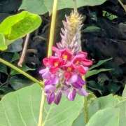 ヒメ日記 2025/09/13 09:15 投稿 ゆう 北九州人妻倶楽部（三十路、四十路、五十路）