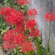 ヒメ日記 2025/09/22 10:15 投稿 ゆう 北九州人妻倶楽部（三十路、四十路、五十路）