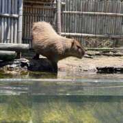 ヒメ日記 2025/06/16 18:36 投稿 柏木 ゆり 30代40代50代と遊ぶなら博多人妻専科24時