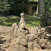 ヒメ日記 2025/06/17 16:32 投稿 柏木 ゆり 30代40代50代と遊ぶなら博多人妻専科24時