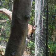 ヒメ日記 2025/06/20 18:00 投稿 柏木 ゆり 30代40代50代と遊ぶなら博多人妻専科24時