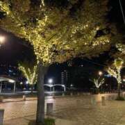 ヒメ日記 2025/10/21 00:01 投稿 柏木 ゆり 30代40代50代と遊ぶなら博多人妻専科24時