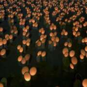 ヒメ日記 2025/11/03 22:26 投稿 柏木 ゆり 30代40代50代と遊ぶなら博多人妻専科24時