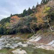 ヒメ日記 2025/11/11 12:03 投稿 柏木 ゆり 30代40代50代と遊ぶなら博多人妻専科24時