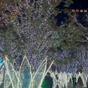 ヒメ日記 2025/11/13 20:41 投稿 柏木 ゆり 30代40代50代と遊ぶなら博多人妻専科24時