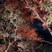 ヒメ日記 2025/11/17 17:30 投稿 柏木 ゆり 30代40代50代と遊ぶなら博多人妻専科24時