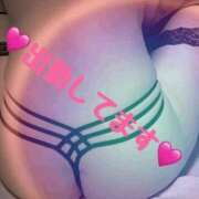 ヒメ日記 2025/12/01 10:15 投稿 柏木 ゆり 30代40代50代と遊ぶなら博多人妻専科24時