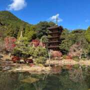 ヒメ日記 2025/12/01 12:36 投稿 柏木 ゆり 30代40代50代と遊ぶなら博多人妻専科24時