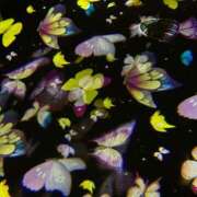 ヒメ日記 2026/01/03 23:49 投稿 柏木 ゆり 30代40代50代と遊ぶなら博多人妻専科24時